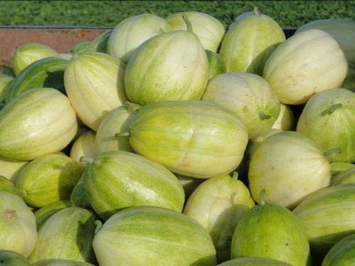 选瓜怎么吃,不同瓜类美味吃法全攻略