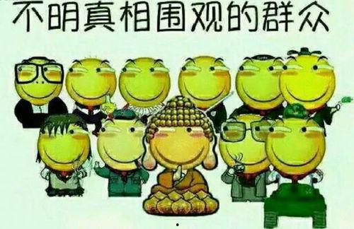 吃瓜群众派小星,揭秘吃瓜群众背后的故事