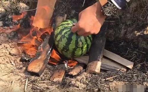 瓜哥吃瓜奇葩物品图片高清,揭秘那些令人瞠目结舌的吃瓜神器