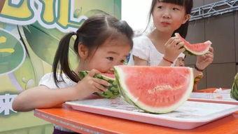 吃瓜比赛参赛人员,吃瓜比赛参赛人员大揭秘！”