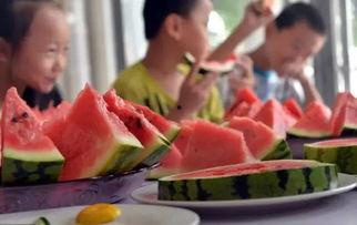 威海吃瓜节,吃瓜节狂欢盛宴来袭！”