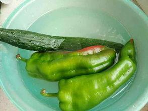 吃瓜唠家常,吃瓜群众的热议焦点