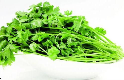 香菜很会吃的瓜,舌尖上的美味探险