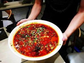 甜水面免费吃瓜,瓜分美食盛宴