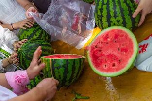 俱乐部吃瓜视频,揭秘娱乐圈幕后风云