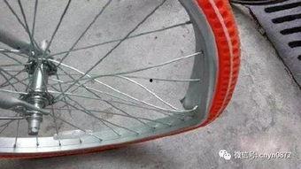 自行车刹车吃瓜