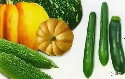 每天吃几种食瓜,健康生活每一天