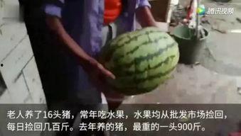 网上的吃瓜视频,揭秘娱乐圈幕后真相  第2张